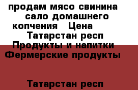 продам мясо свинина.  сало домашнего копчения › Цена ­ 250 - Татарстан респ. Продукты и напитки » Фермерские продукты   . Татарстан респ.